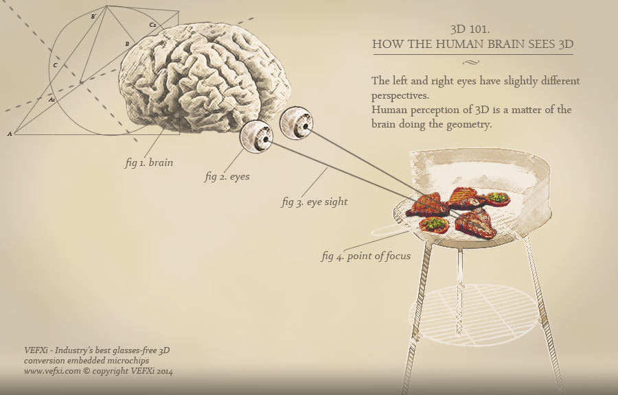 How 3D works with the brain